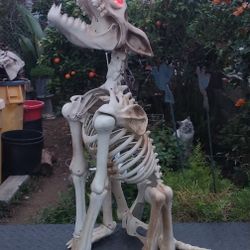 Animated Howling Wolf Skeleton 