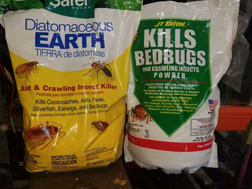 Kills Bed Bugs