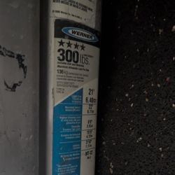 Werner Ladder 300 Lbs 21'