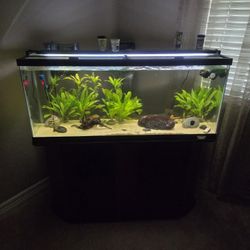 55 Gallon Aquarium 