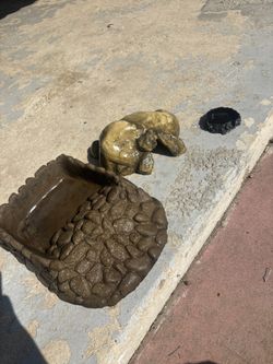 Reptile Accessories