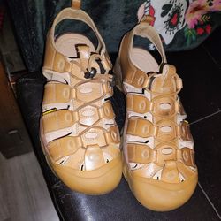 Kleen Shoes 