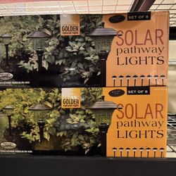 16 Solar Pathway Lights 