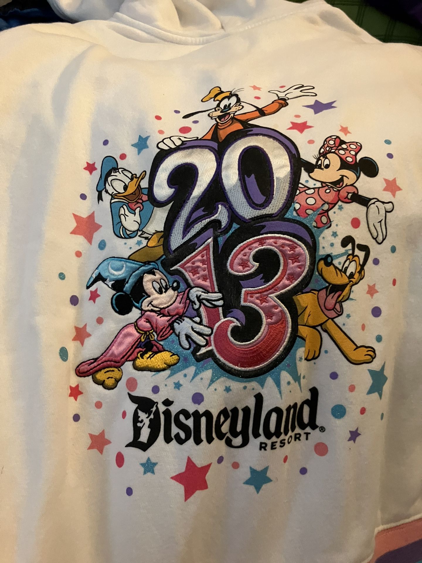 Ladies L-xl Disneyland Zip Hoodie Jacket 2013 Anniversary