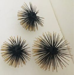 Sea Urchin Wall Art Decor Set of 3
