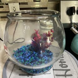 Fishbowl with blue rocks and pink plant  15.00 or best offer