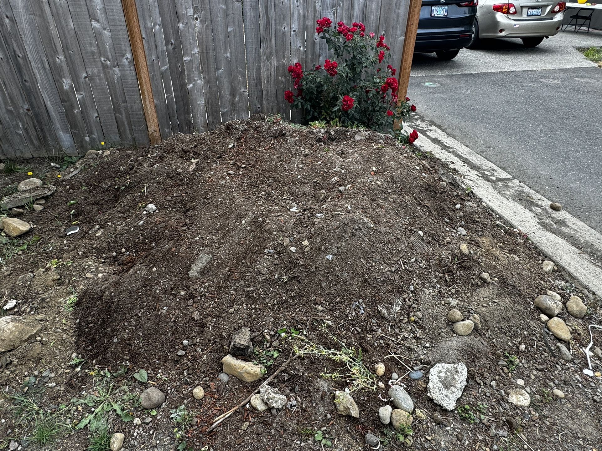 Top Soil