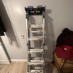 Werner Multi-max Pro Ladder