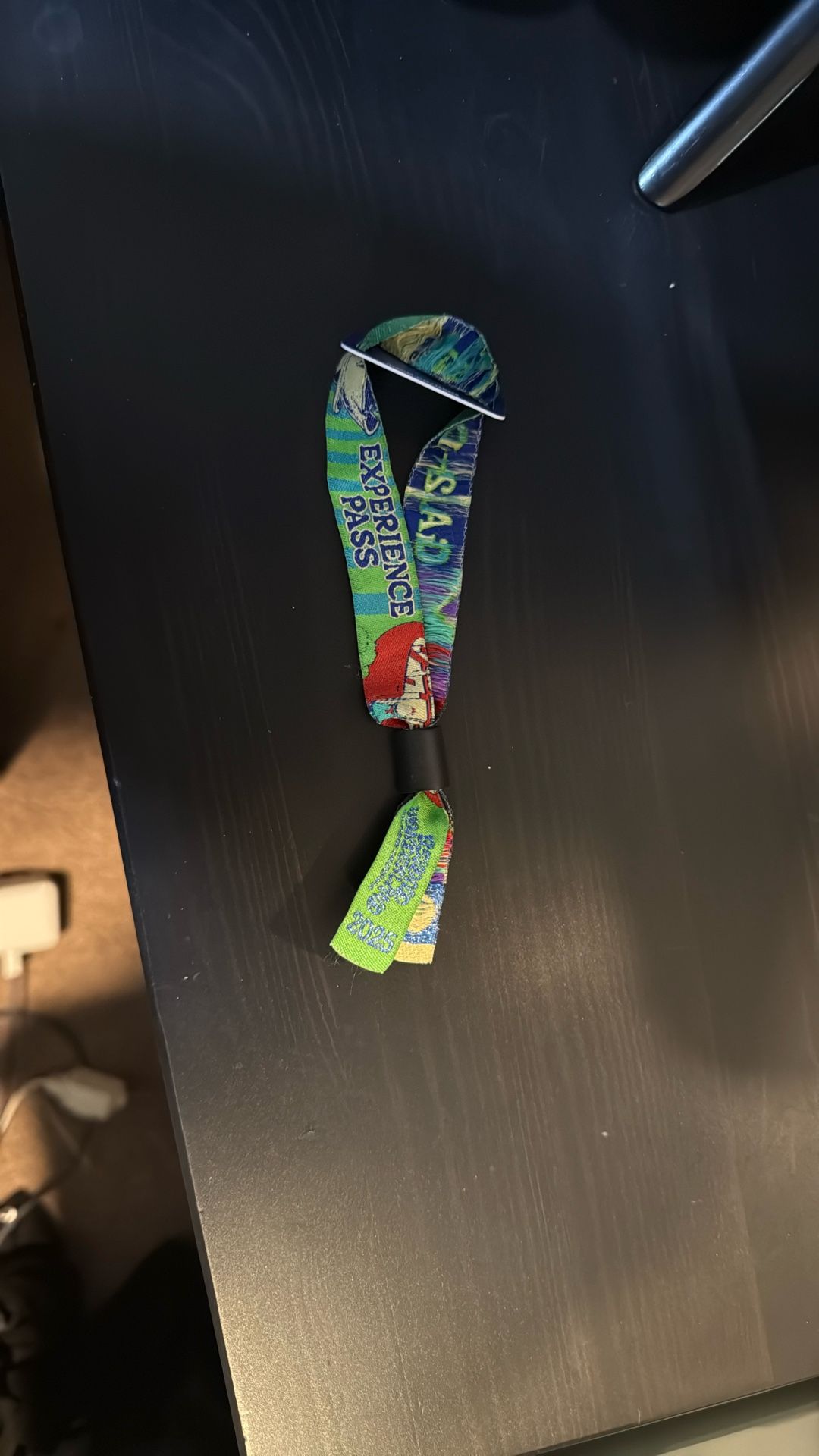 Beyond Wonderland 2025 Wristband
