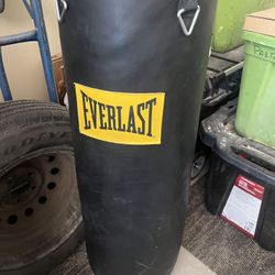 Everlast Punching Bag 