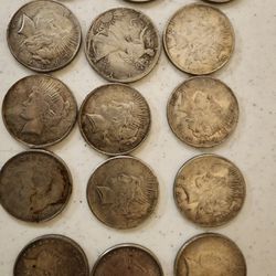 Faux Dollar Coins  Collectable  $5.00 Each 