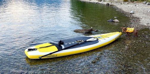 11ft Body Glove Paddleboard
