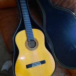 Sedona 46S Guitar