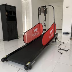 Doggie treadmill for 2025 sale