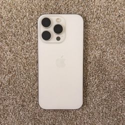 iPhone 16 Pro 256 GB in Silver (Unlocked)