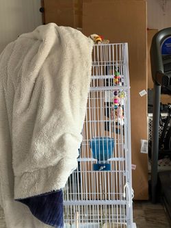 Cage for sale