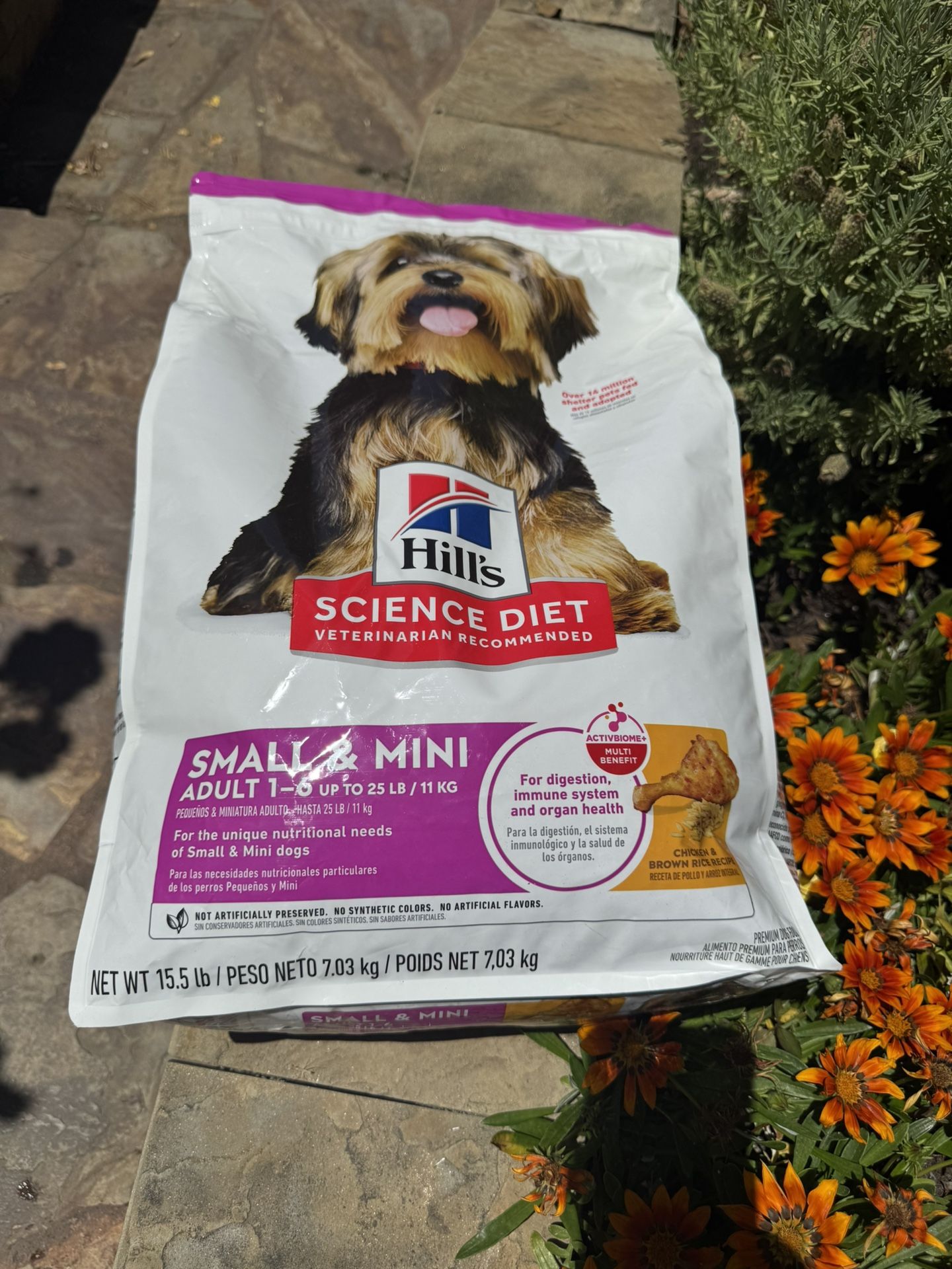 Hills,dog Food small and mini