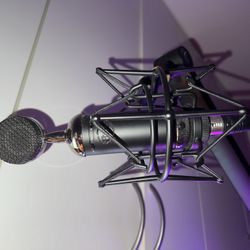 Blue Spark XLR mic