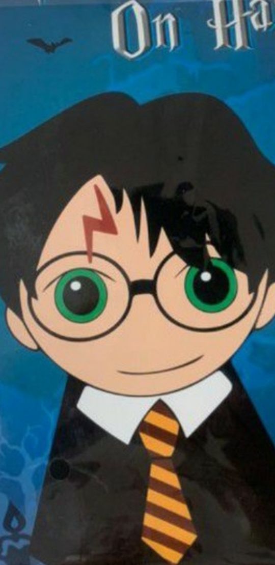 Harry Potter Party Items