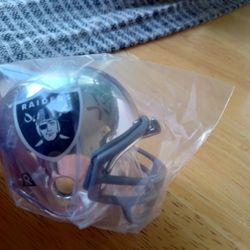 Riddell Chrome Mini Football Helmets $25 A Piece New