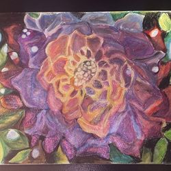 Abstract Colored Pencil Flower Drawing 