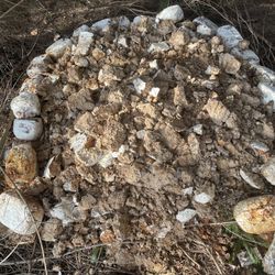 Mushroom Compost With Living Mycelium 