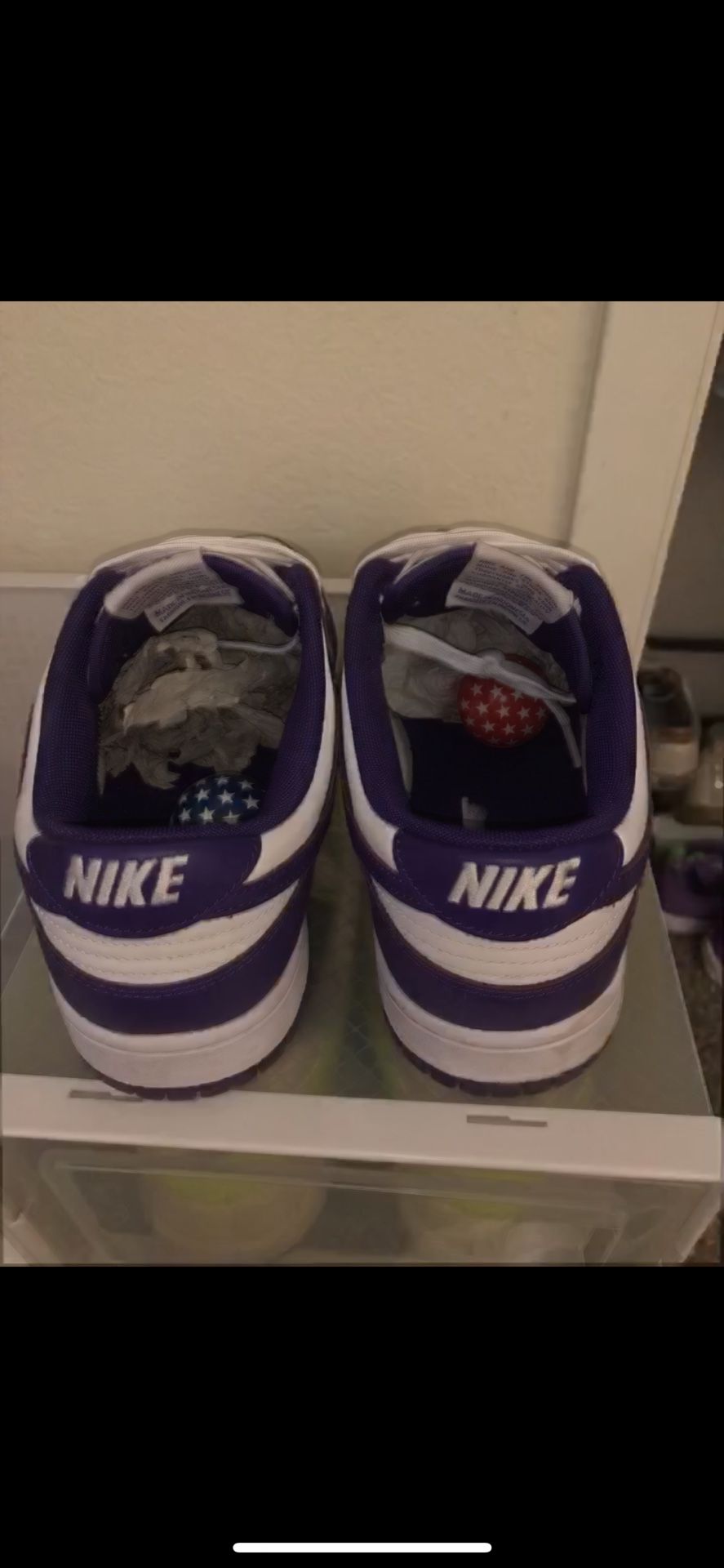 Court Purple Nike Dunks 