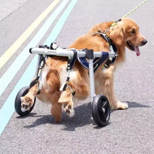 2 Wheels Dog Wheelchair for Back Legs, Pet Wheelchair Lightweight & Adjustable Assisting in Healing, Dog Cart/Wheelchair for Injured, Disabled, Paraly