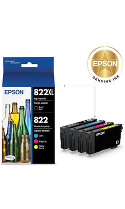 Epson 822 Ink Combo Pack 