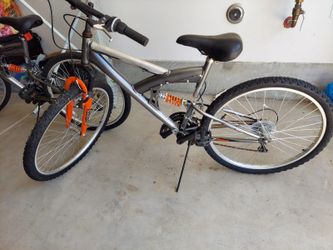 Adult Bike