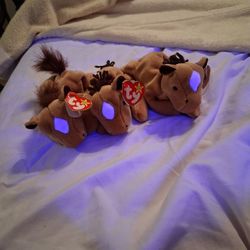 Derby Ty Beanie Baby 