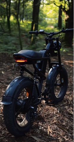 Z8 Riding Times Pro The Best Beginning E Bike