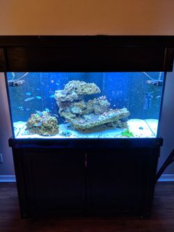 150 gallon Saltwater reef tank full set up.