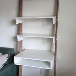 Leaning Ladder Bookshelf 
