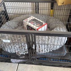 Dog kennel
