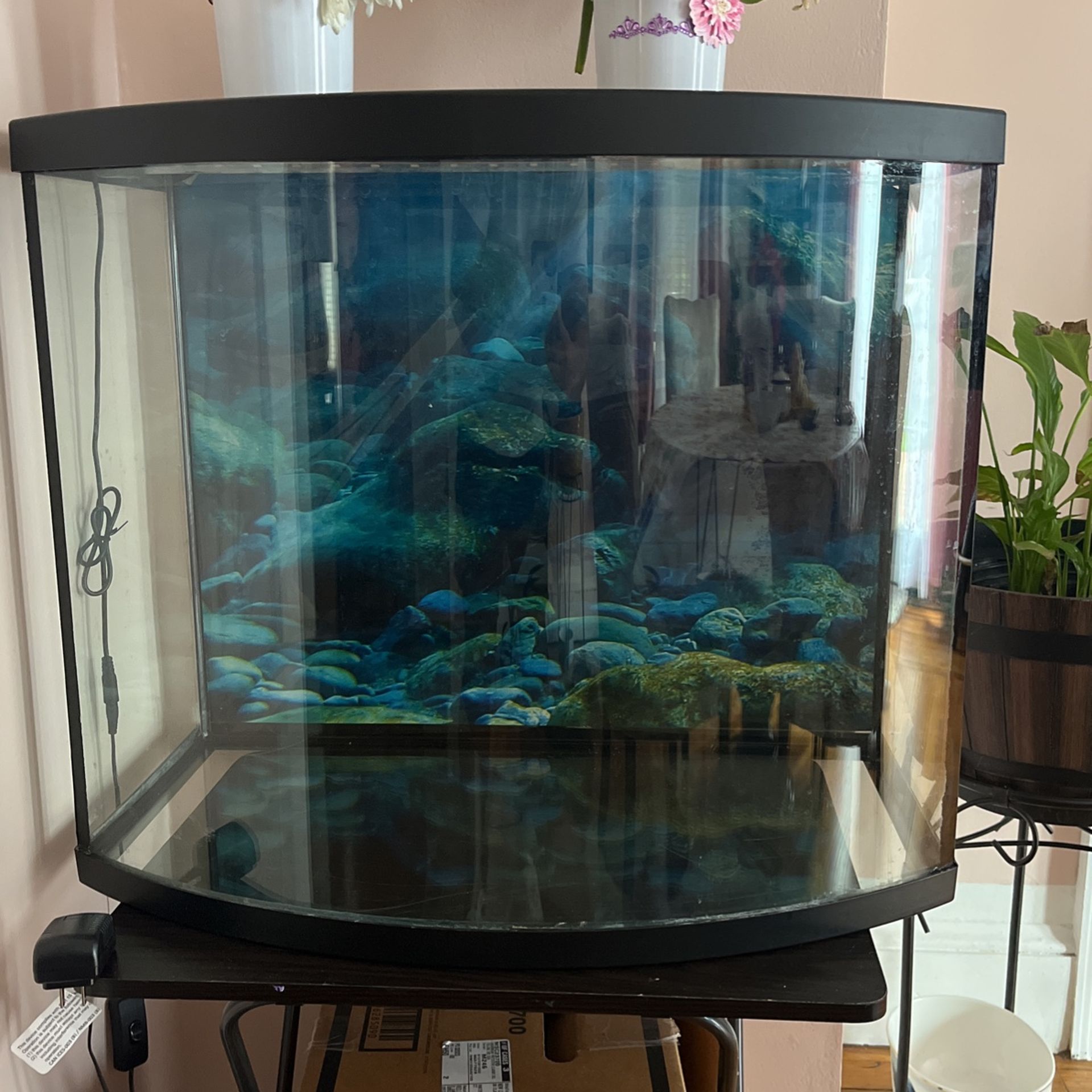 Fish Tank