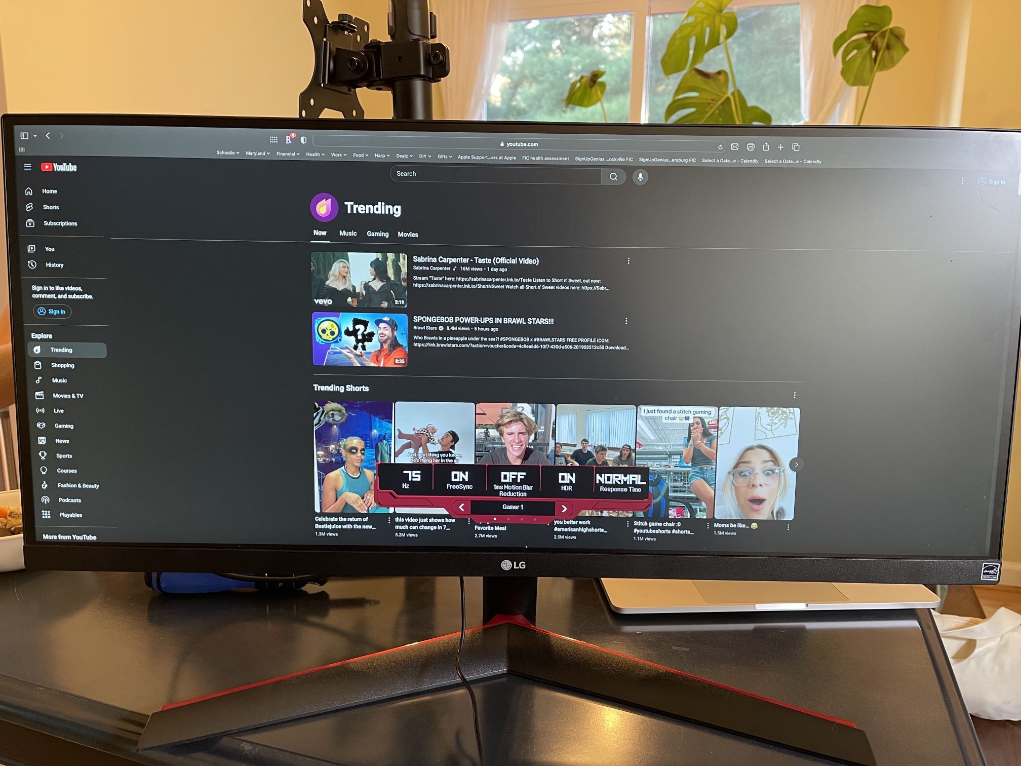 29” LG Ultrawide Monitors