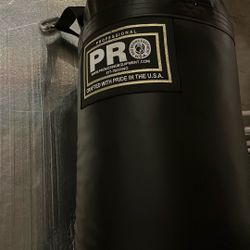 Pro Boxing Punching Bag
