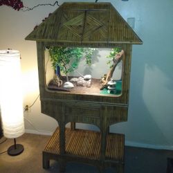  Bamboo Terrarium Tank