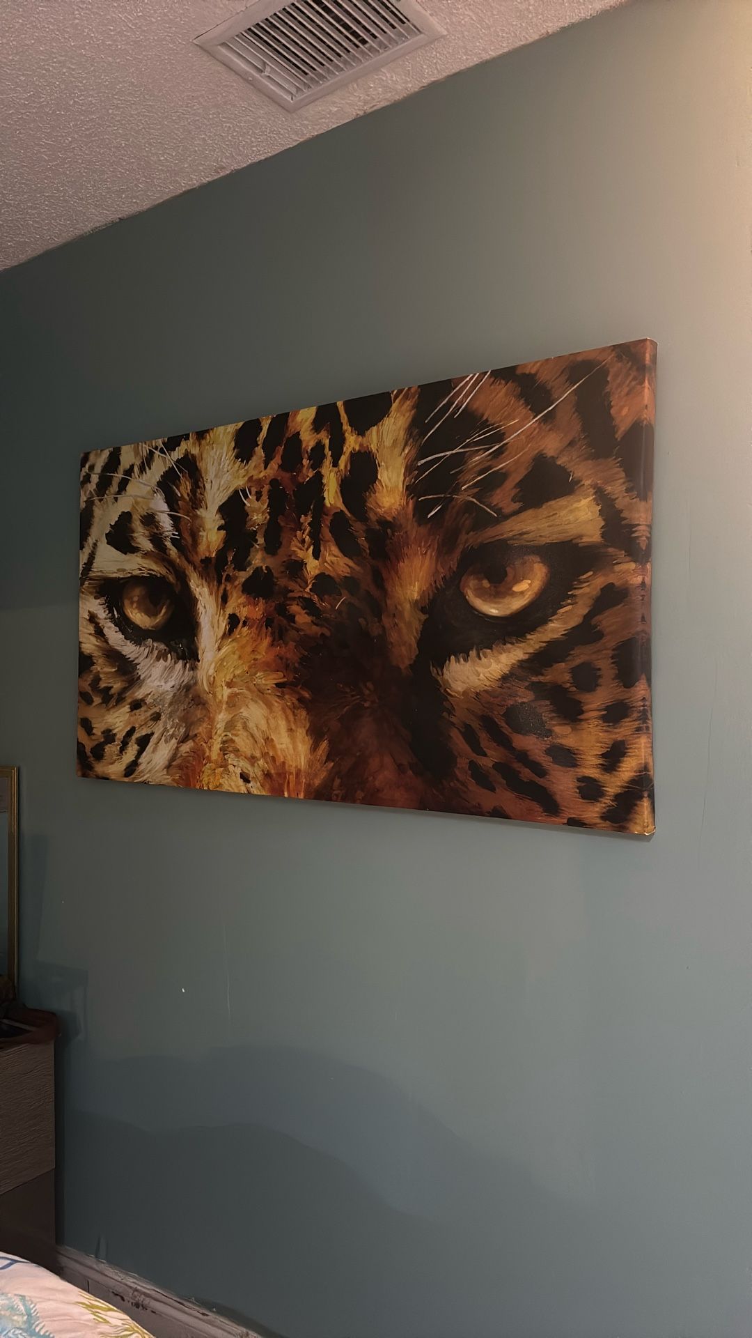 Cheetah Eyes