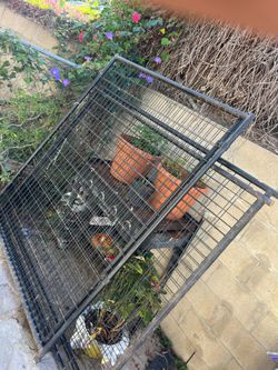 Out door dog kennel