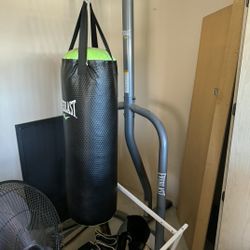 Everlast Heavy/punching Bag