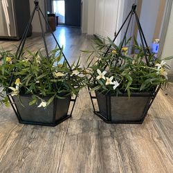 2 Wall Planters 