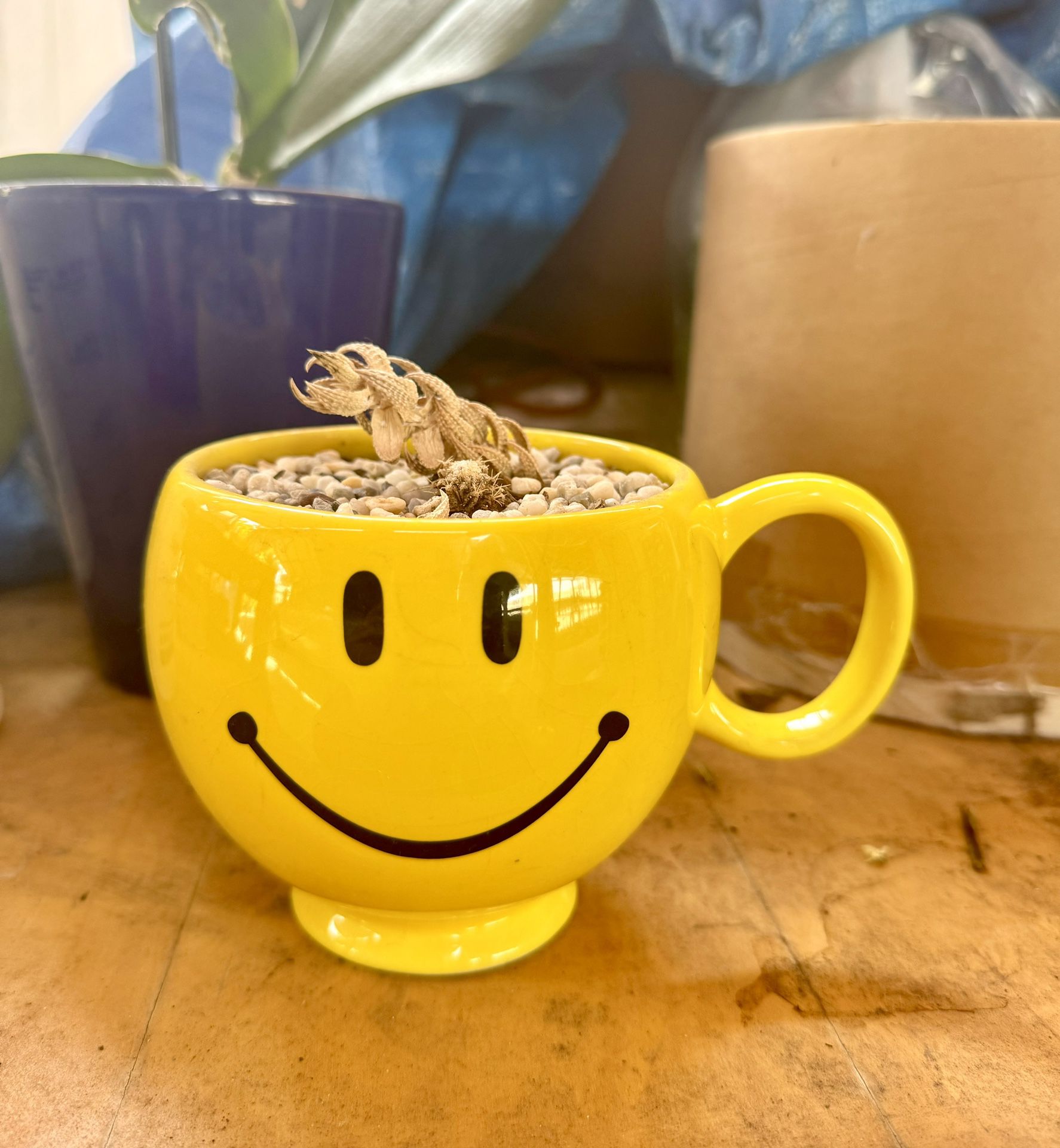 Smiley Flower Pot Mug Gardening 
