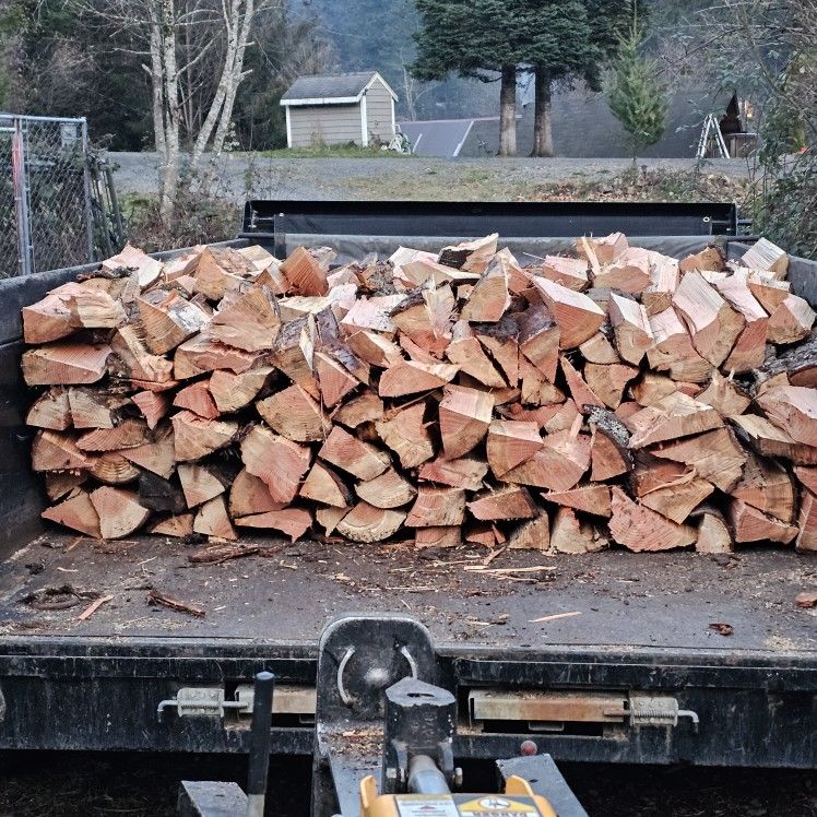 Fir Firewood Split