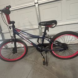 Falcon Schwinn Kids Bike