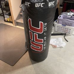 UFC Heavy Punching Bag