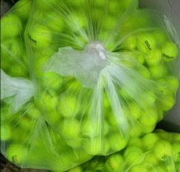 50 Used Tennis Balls for $20