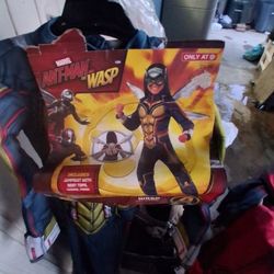 Wasp Man