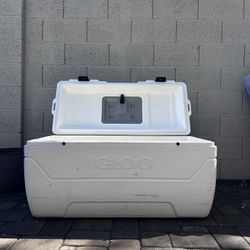 Igloo 165-quart MaxCold 